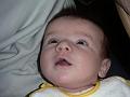 2006-02-03_21-10_75